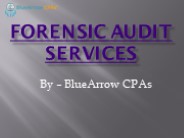 Forensic Audit Services