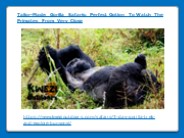 Tailor-Made Gorilla Safaris- Perfect Option To Watch