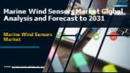 Marine Wind Sensors Market