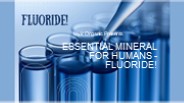Essential mineral for humans - Fluoride!