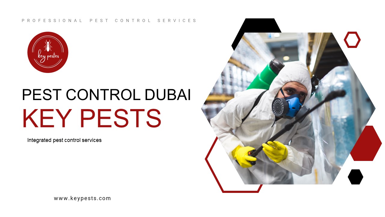 Pest control Dubai