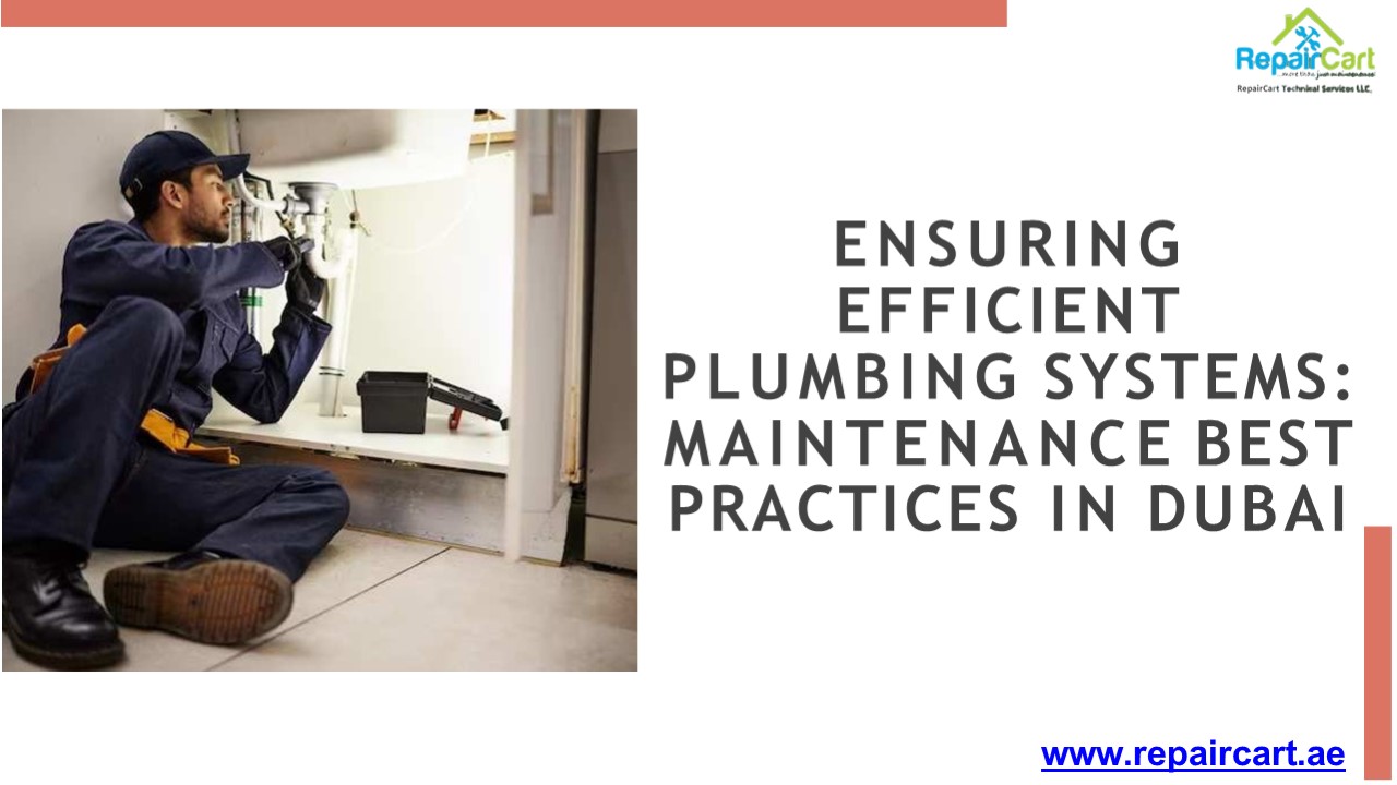 Plumbing Maintenance Services in Dubai
