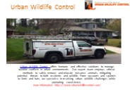 Expert Wildlife Removal Services