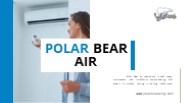 Polar Bear Air