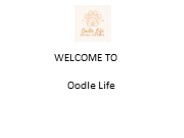 Cavoodle Breeders-Oodle Life (1)