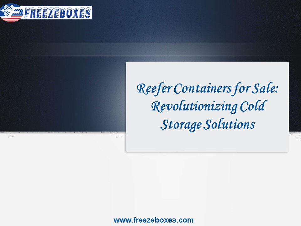 Reefer Containers for Sale: Revolutionizing Cold Storage Solutions
