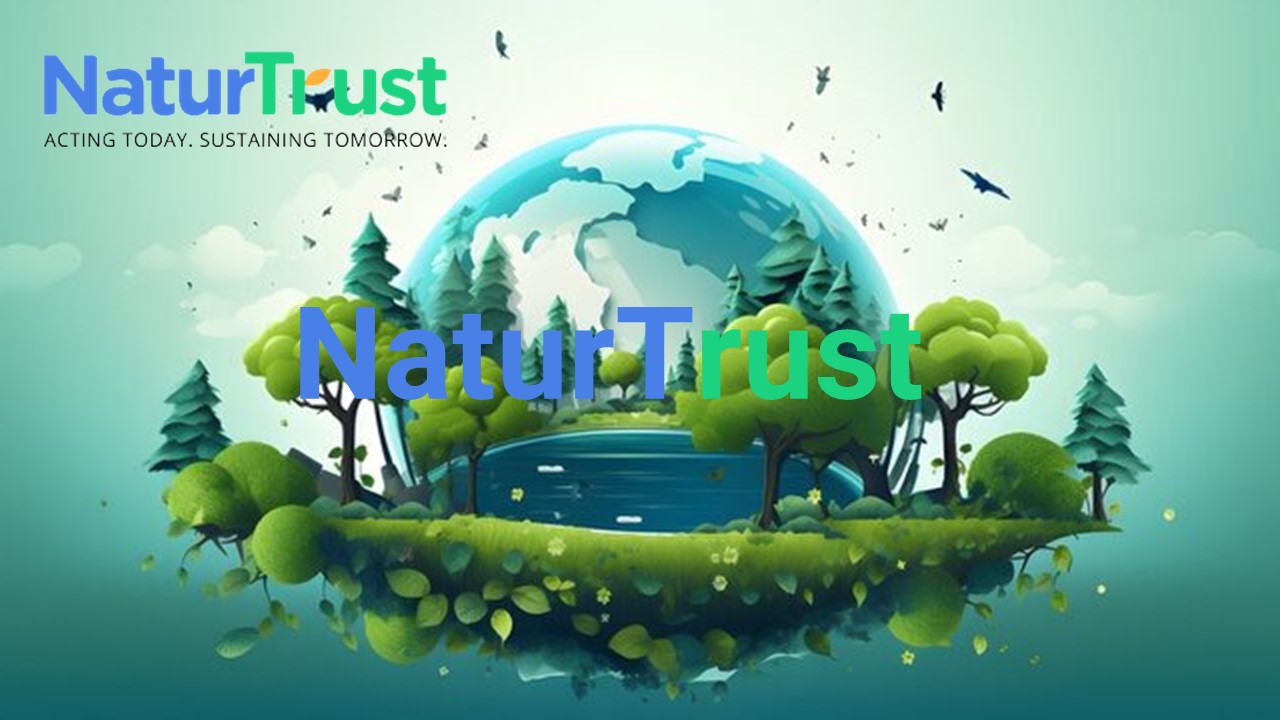 Sustainable & Convenient Compostable Mailers