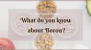 What do you know about Boron?