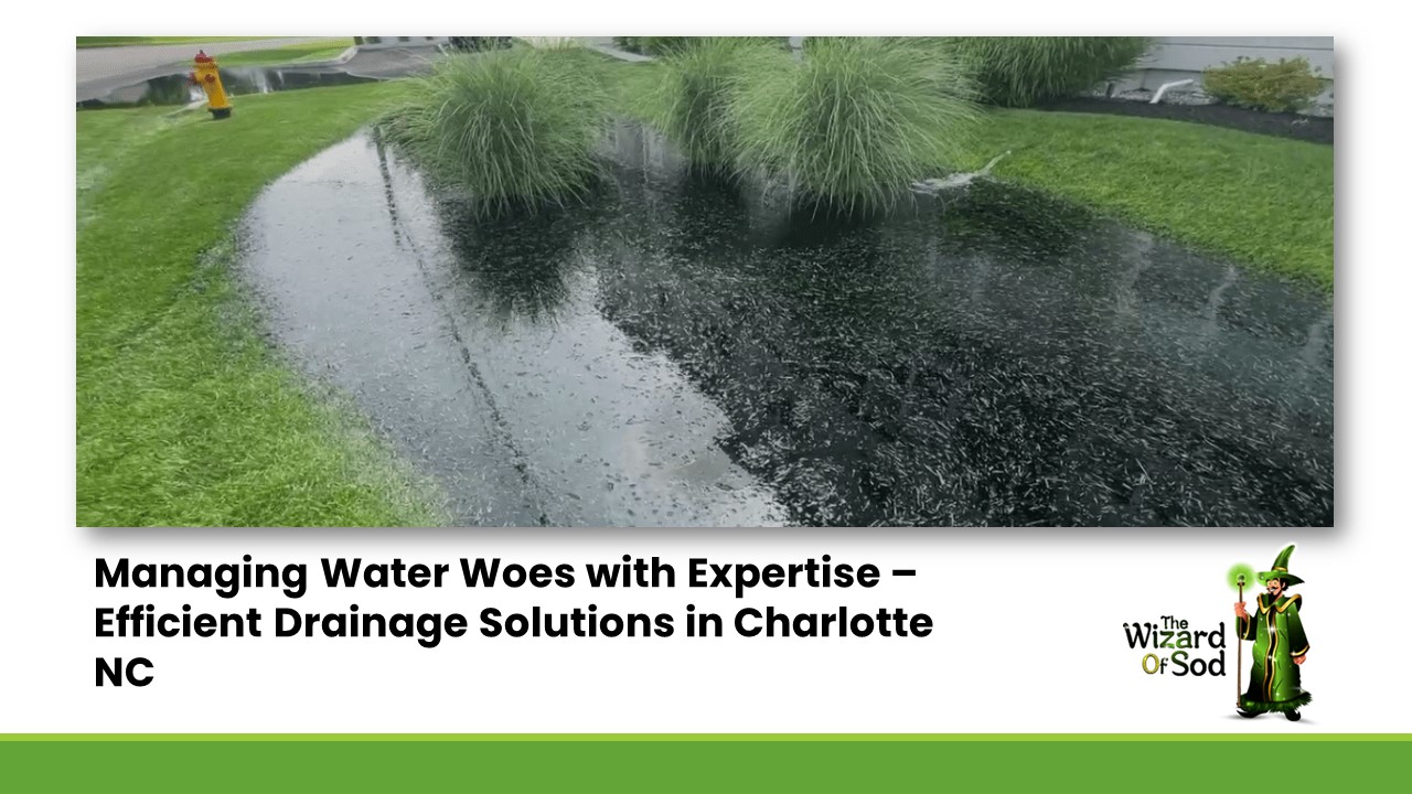 Managing Water Woes with Expertise – Efficient Drainage Solutions in Charlotte NC
