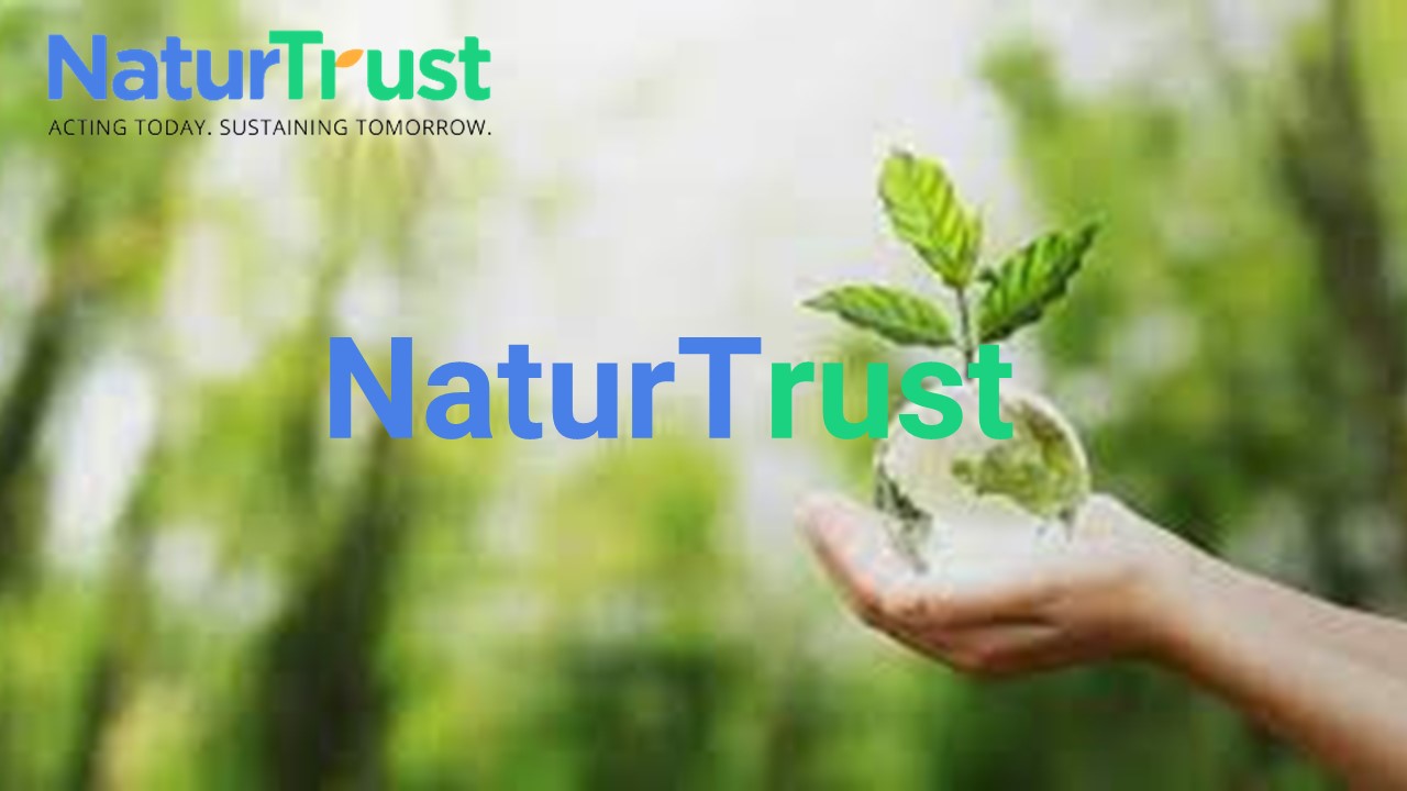 Eco-Revolution with Compostable Bin Liners