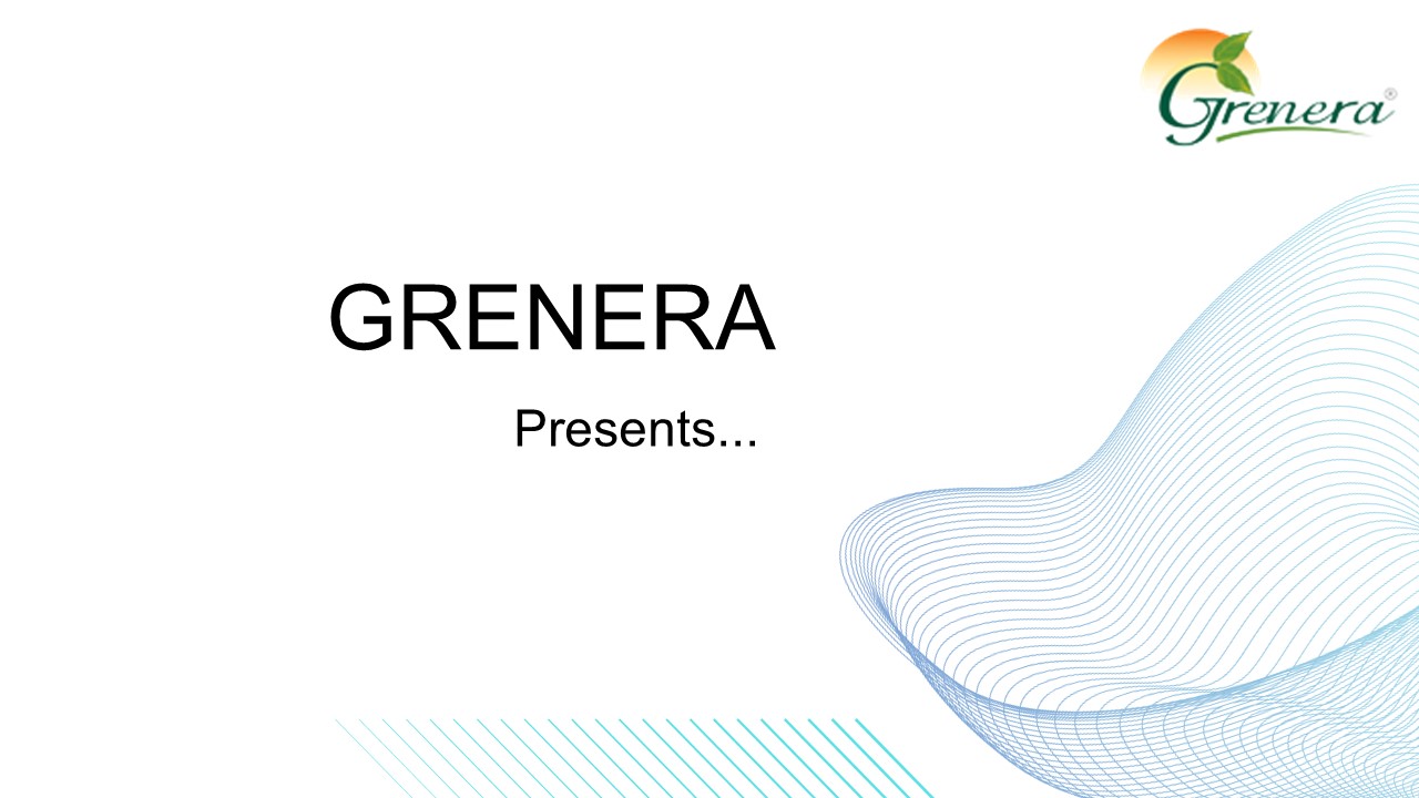 Organic Moringa Dried Leaves -Manufacturer | Wholesale Supplier