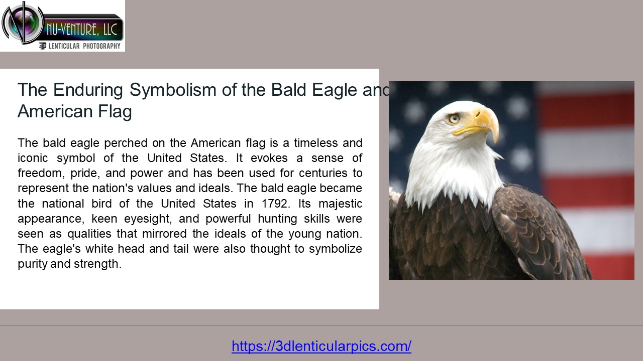 Artistic Renditions: Bald Eagle on the American Flag Masterpieces