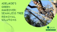 Adelaide’s Green Makeover: Seamless Tree Removal Solutions