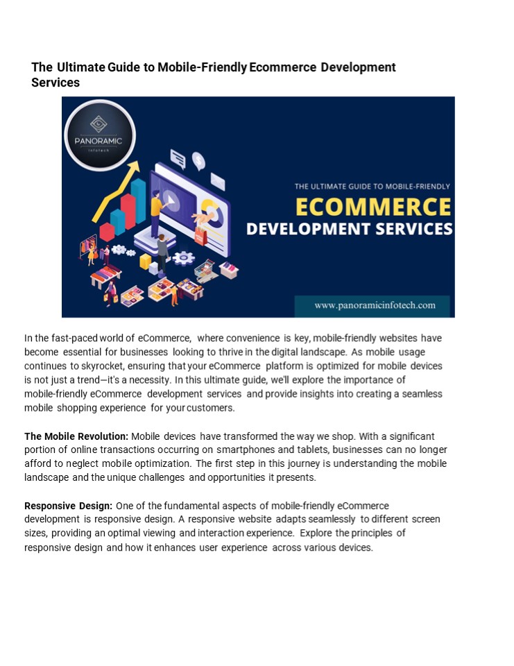 Web & E-Commerce Development | Panoramic Infotech