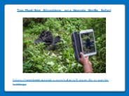 Top Must-See Attractions on a Uganda Gorilla Safari
