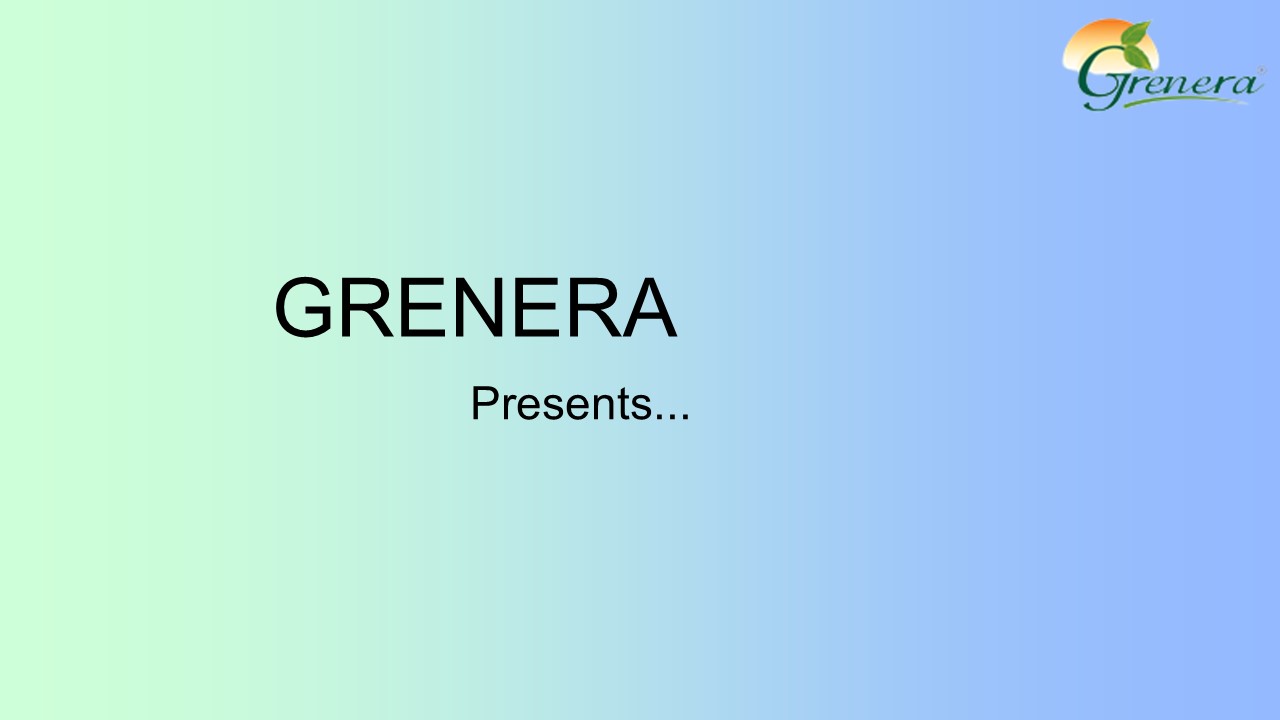 Moringa Tablet Manufacturers in India