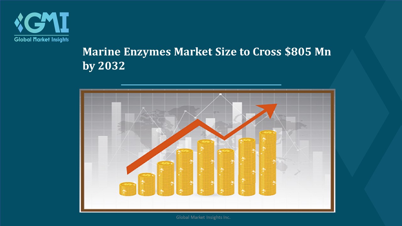 Marine Enzymes Market Insights 2032