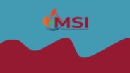 Professional Mold Inspection Services