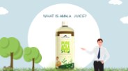 What is Amla Juice