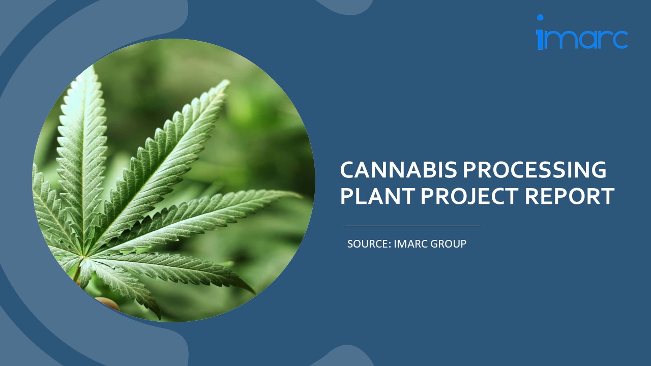 Cannabis Processing Machinery Requirements and Project Report