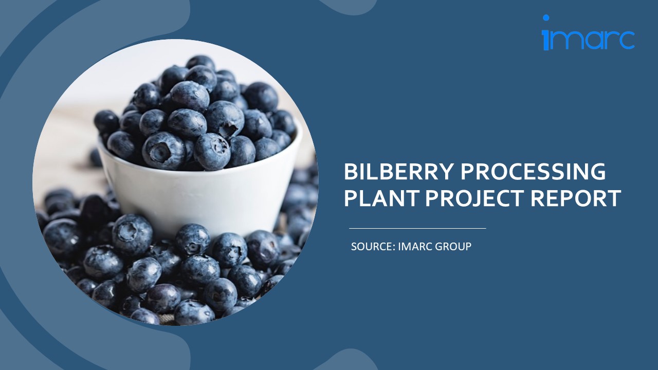 Bilberry Processing Machinery Requirements and Project Report