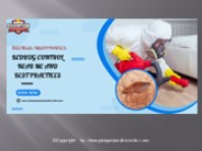 Bedbug Nightmares: Bedbug Control Near Me and Best Practices