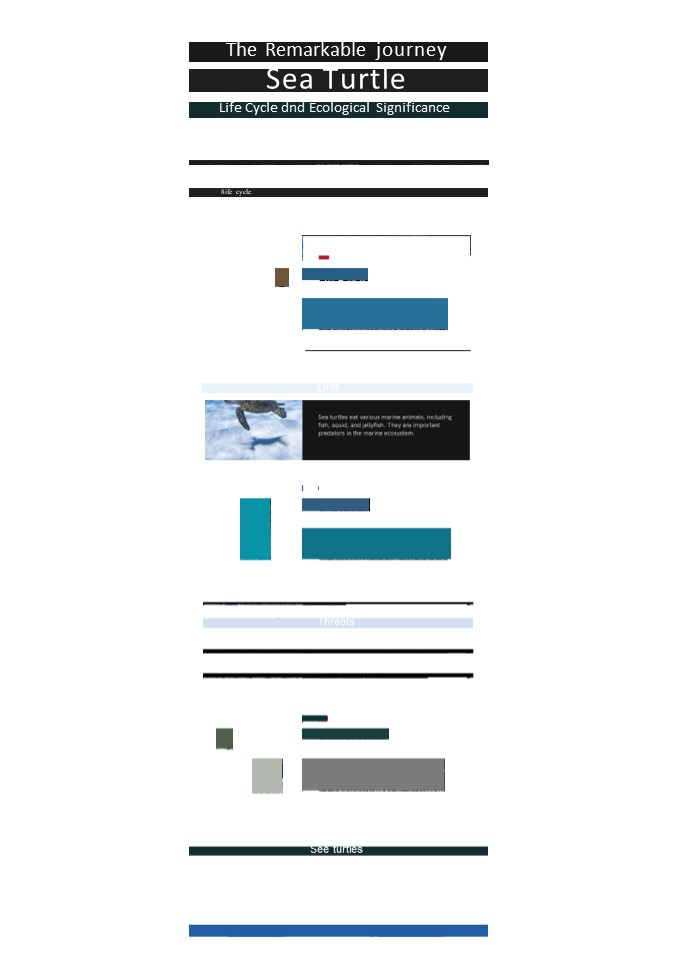 Cayman Turtles: Life Cycle Marvel