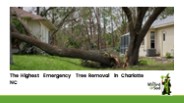 Emergency Tree Removal in Charlotte NC