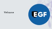 Revolutionizing Gaming Standards: EGF's Self-Regulatory Framework