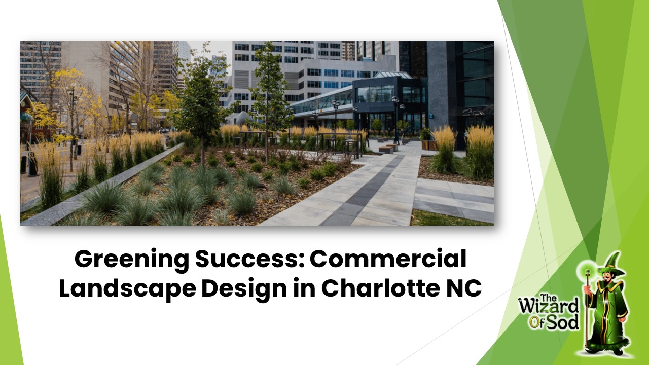Greening Success: Commercial Landscape Design in Charlotte NC