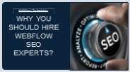 Why You Should Hire  Webflow SEO Experts? (1)