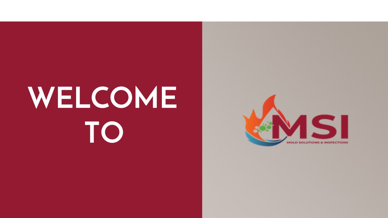 What to Know About Water Damage