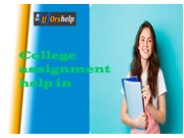 College assignment help in Auckland