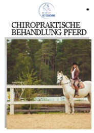 Chiropraktische Behandlung Pferd