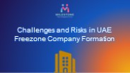 Challenges and Risks in UAE Freezone Company Formation