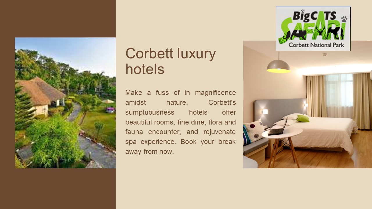 Elegance and Comfort: Corbett luxury hotels