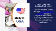 Best USA visa consultant (2024)