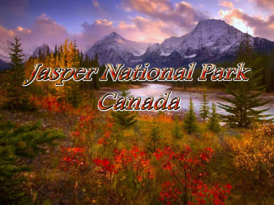 Canada - NP Jasper (Agnerz)