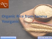 Organic Rice from Sanesa Yourganic