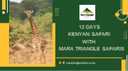12 Days Kenyan Safari