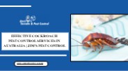 Effective Cockroach Pest Control Services in Australia Jim's Pest Control