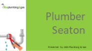 Plumber Seaton