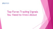 Best Forex Trading Signals (1)