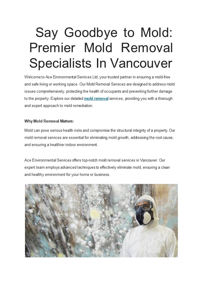 Premier Mold Removal In Vancouver