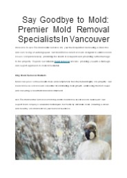 Premier Mold Removal In Vancouver