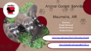 Animal Control Service Maumelle, AR