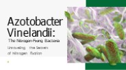Uses of Azotobacter Vinelandii in Modern Farming