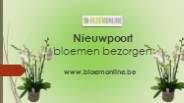 Fresh Flowers Delivery In Oostduinkerke