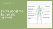 Facts about the Lymphatic system!