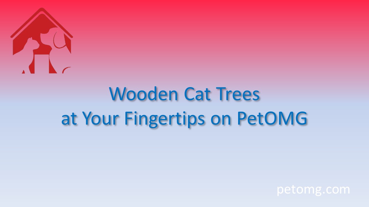 Wooden Cat Trees at Your Fingertips on PetOMG